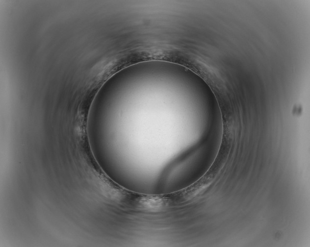 X0000090480181200707201423