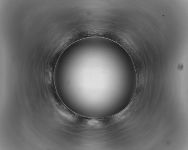 X0000090480183200707201423