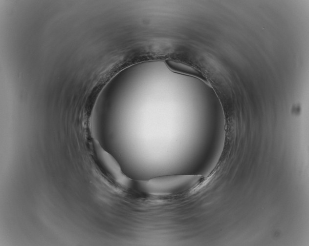 X0000090480184200707201423