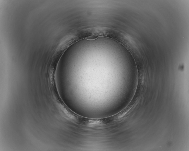 X0000090480185200707201423