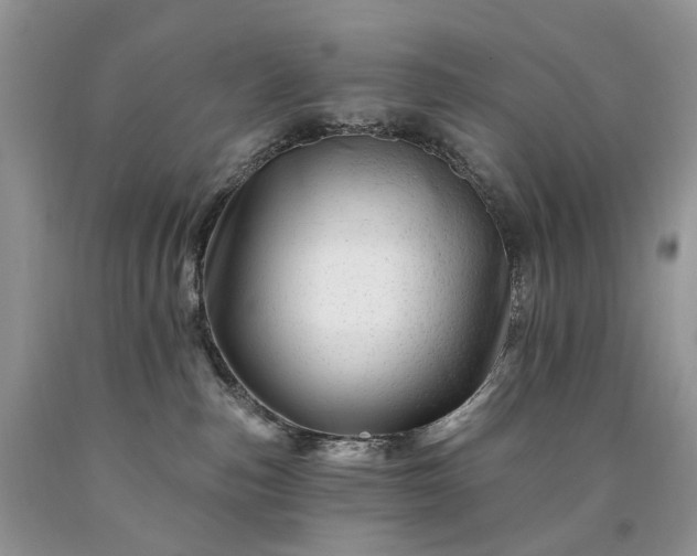 X0000090480187200707201423