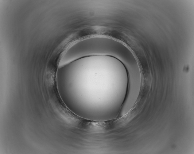 X0000090480188200707201423