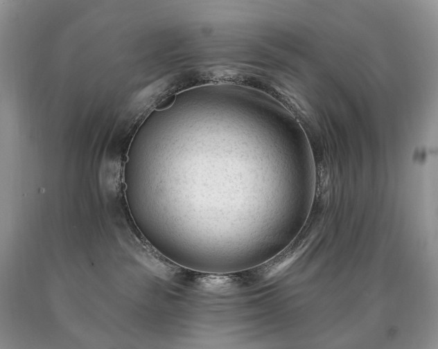 X0000090480189200707201423