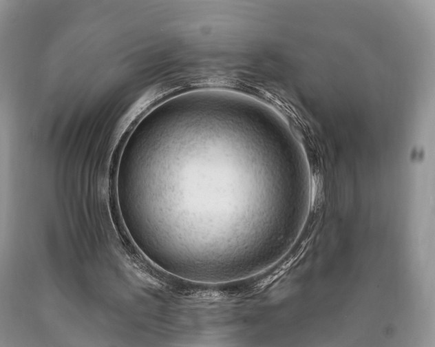 X0000090480195200707201423