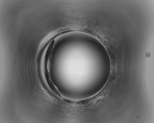 X0000090480197200707201422