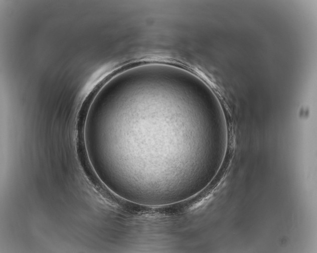 X0000090480199200707201422