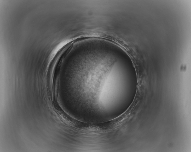 X0000090480200200707201422