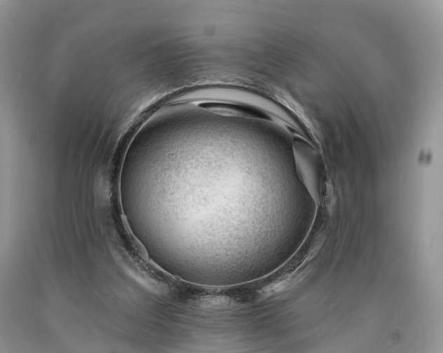 X0000090480203200707201422