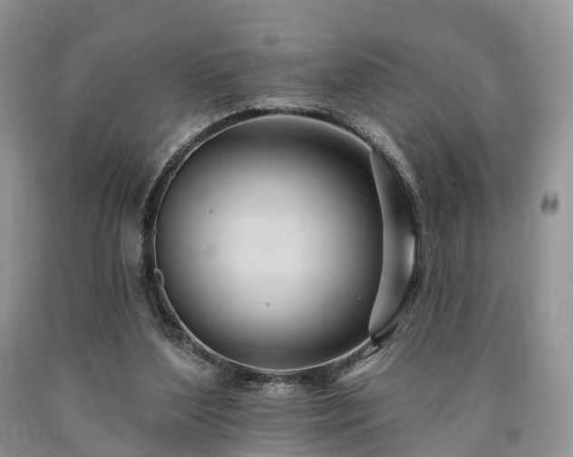 X0000090480204200707201422