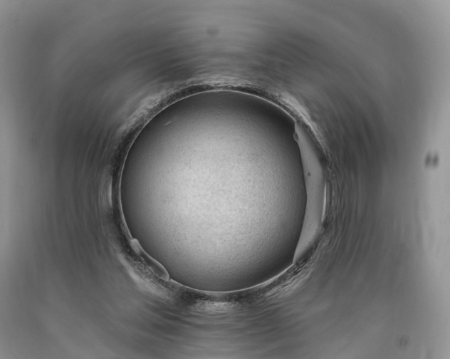 X0000090480205200707201422
