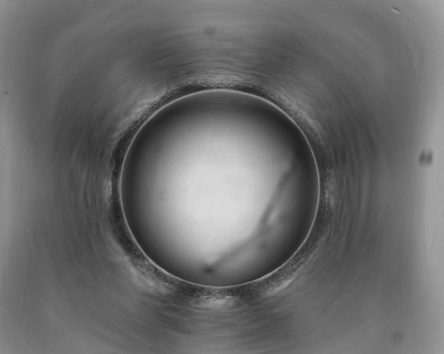 X0000090480206200707201422