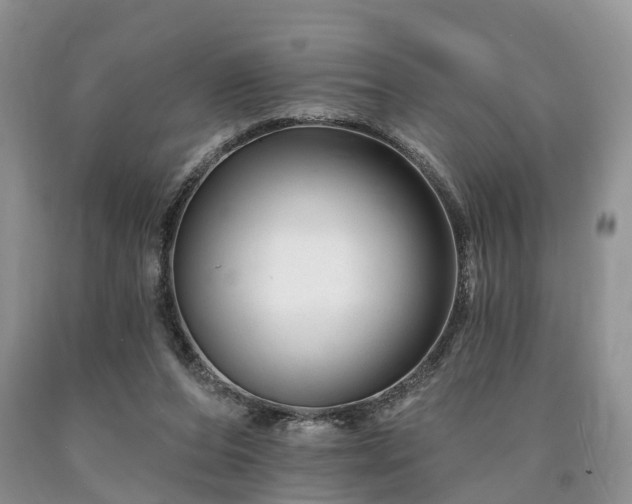 X0000090480208200707201422