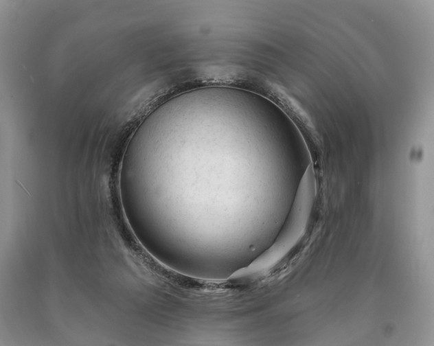 X0000090480209200707201422