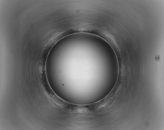 X0000090480210200707201422