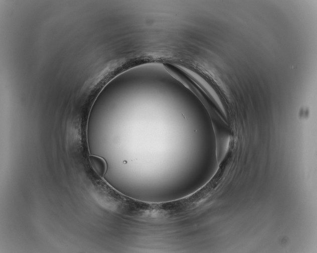 X0000090480212200707201422