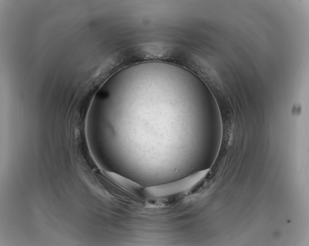 X0000090480215200707201422