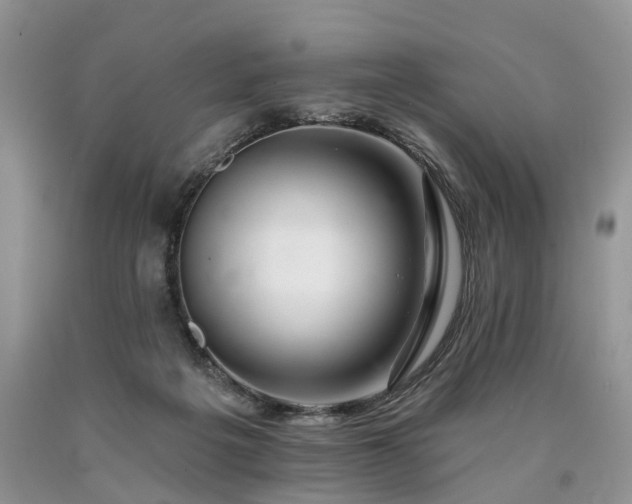 X0000090480217200707201422