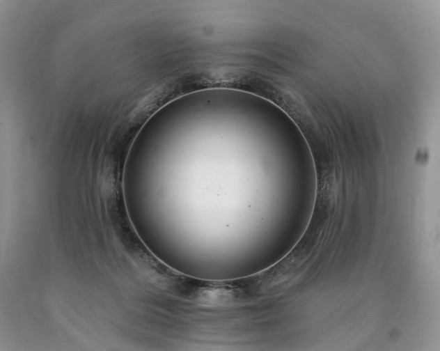 X0000090480220200707201422