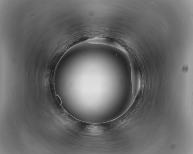 X0000090480221200707201422