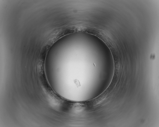 X0000090480222200707201422