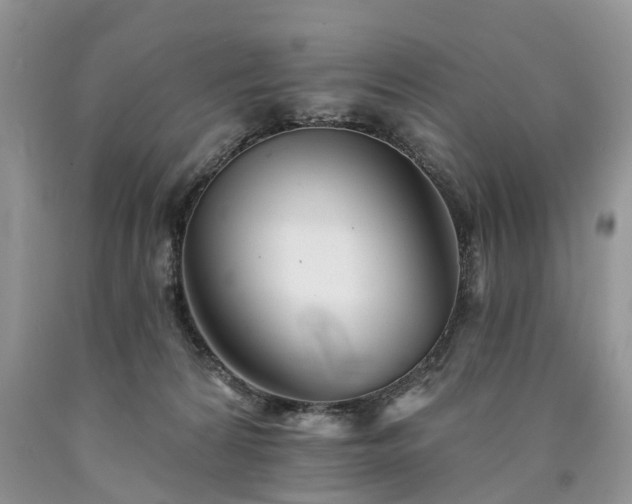 X0000090480224200707201422