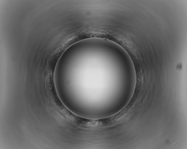 X0000090480225200707201422