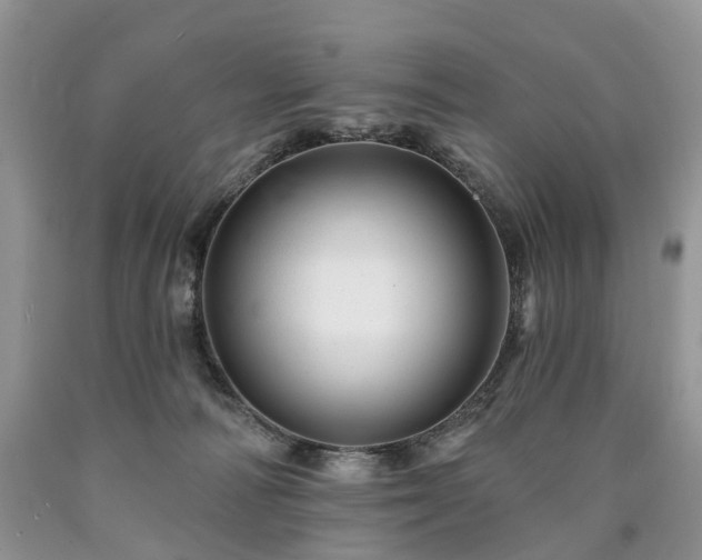 X0000090480226200707201422