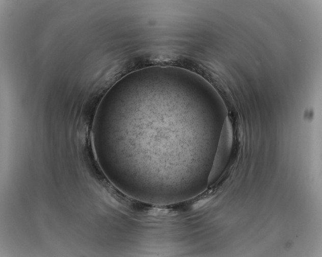 X0000090480227200707201422