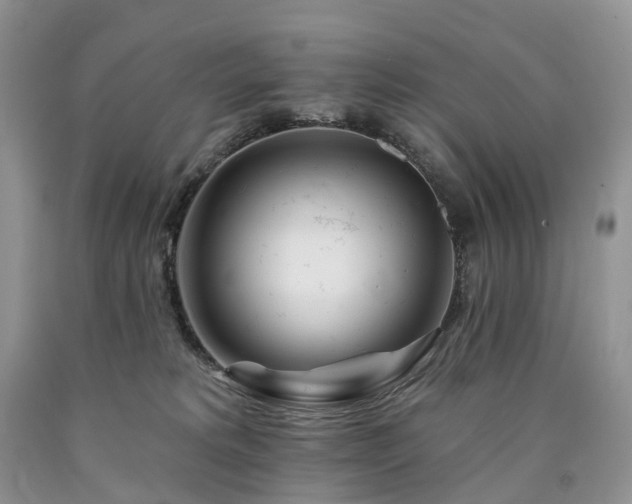 X0000090480229200707201422