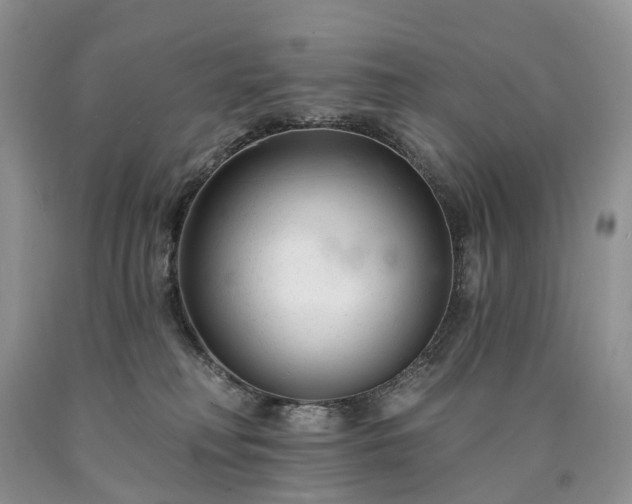 X0000090480230200707201422