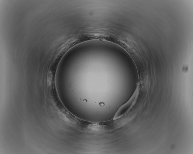 X0000090480231200707201422