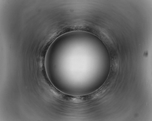 X0000090480232200707201422