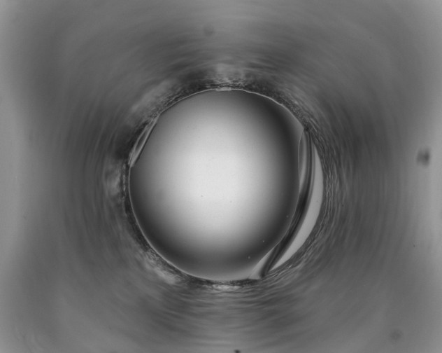 X0000090480233200707201422