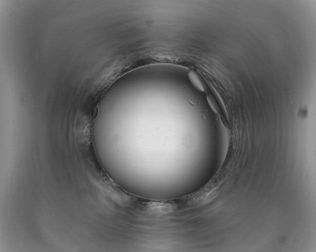X0000090480234200707201422