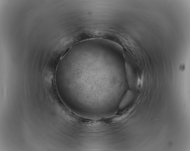 X0000090480235200707201422