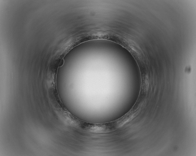 X0000090480236200707201422