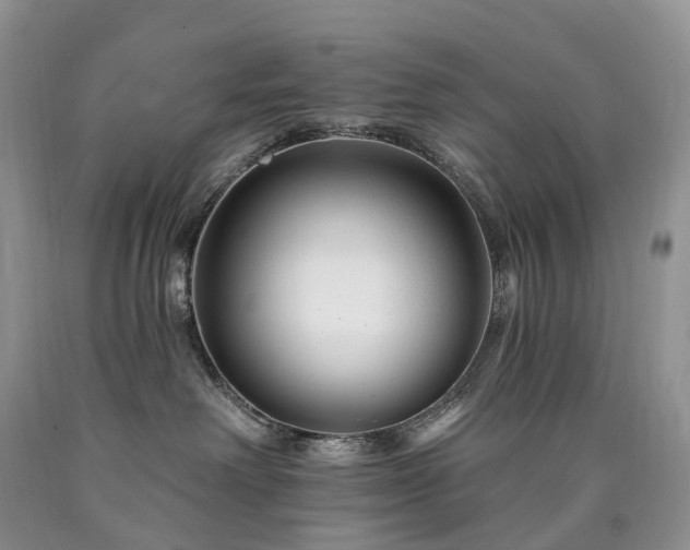 X0000090480238200707201422
