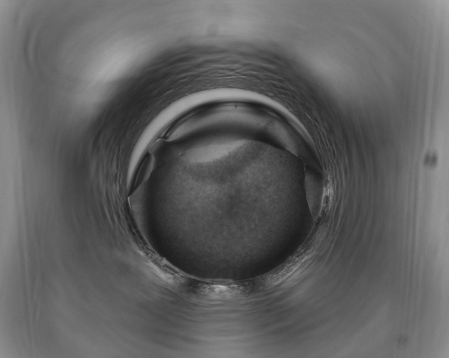 X0000090480239200707201422