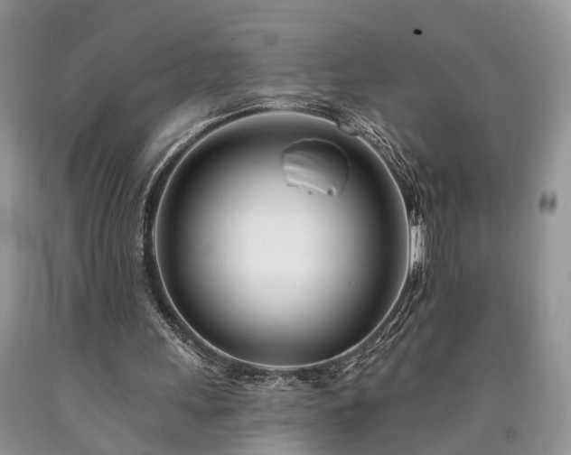 X0000090480243200707201421