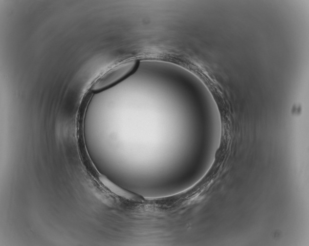 X0000090480244200707201421