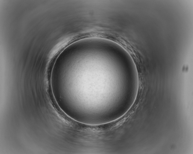 X0000090480245200707201421