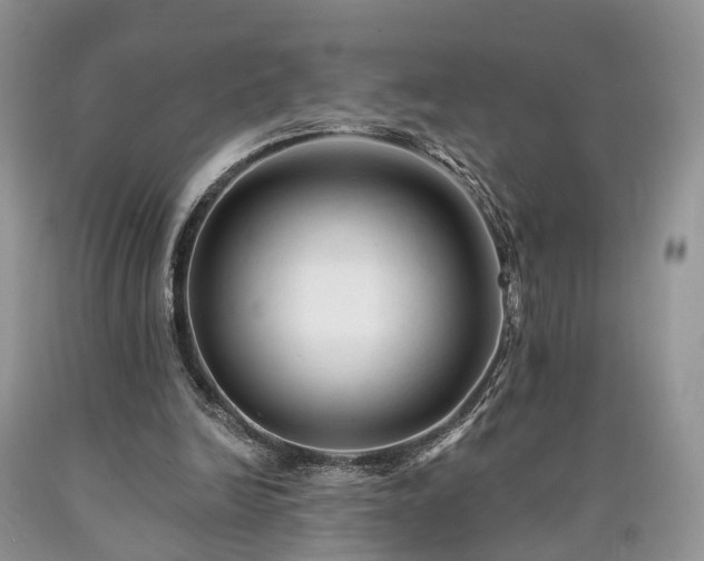 X0000090480246200707201421