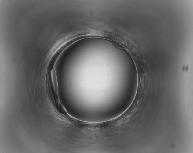 X0000090480247200707201421