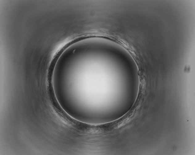 X0000090480248200707201421