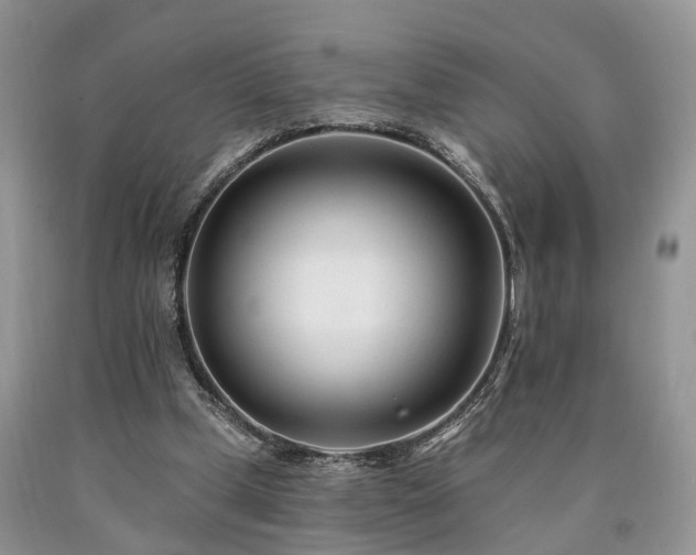 X0000090480249200707201421