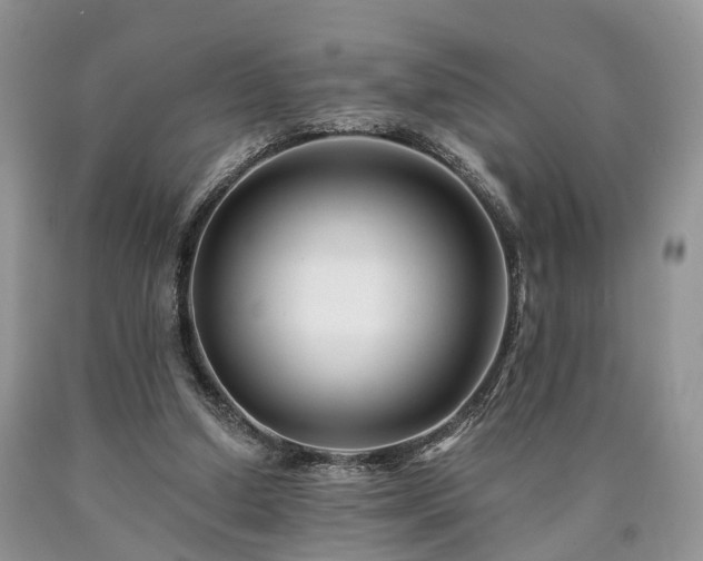 X0000090480250200707201421