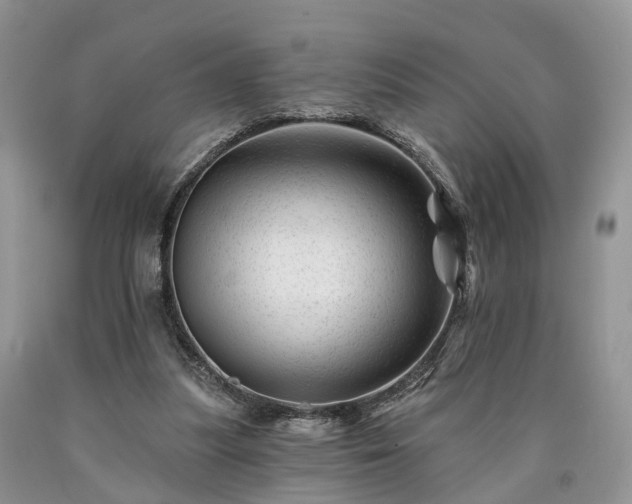 X0000090480251200707201421
