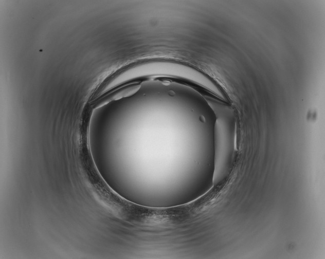 X0000090480252200707201421