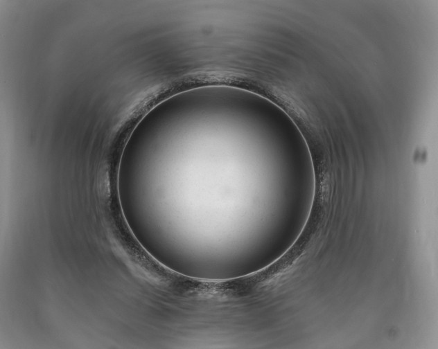 X0000090480254200707201421