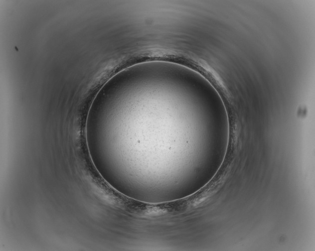 X0000090480257200707201422
